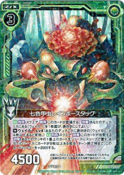 画像1: 七色甲虫レインボースタッグ
