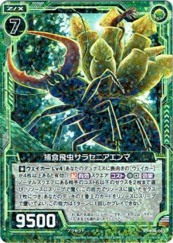 画像1: 捕食飛虫セラセニアエンマ