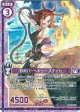 【ホログラム】灼熱バーベキュー スティカ
