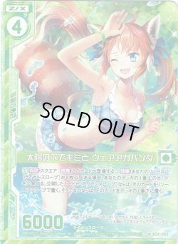 画像1: 【ホログラム】太陽の下でキミと ウェアアカパンダ