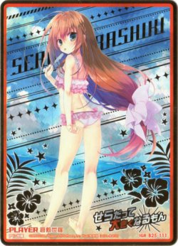 画像1: ※傷有り品（返品交換対象外）【IGR】倉敷世羅