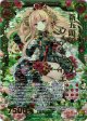 【ホログラム】新五頭領ウェアキャバリエ