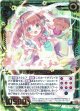新五頭領ウェアトイプードル