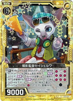 画像1: 撮影監督セイシェルワ