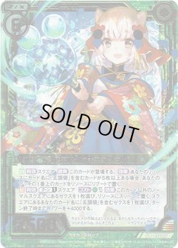 画像1: 新五頭領ウェアマメシバ