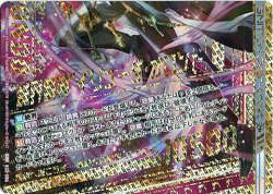 画像1: “滅界誓装”イリューダ・オロンド（下）