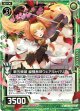 新五頭領 縦横無尽ウェアキャバリエ