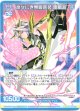 凛々しき無限誓装 雷鳥超