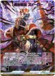 黒き解放 ズィーガー