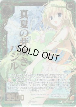 画像1: 【ホログラム】真夏の芽吹きバジル