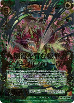 画像1: 爛漫を育む桜華ノーブルグローヴ