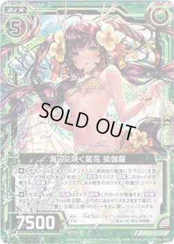 画像1: 【ホログラム】海辺に咲く龍花 娑伽羅