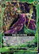 【ホログラム】爽籟に拓け其が星樹