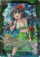 サンシャインスマイル ペクティリス