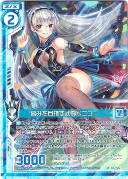 画像1: 【ホログラム】高みを目指す武闘家ニュー