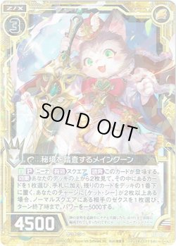 画像1: 秘境を踏査するメインクーン