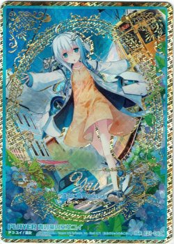 画像1: ※傷有り品（返品交換対象外）【IGR】青の竜の巫女ユイ
