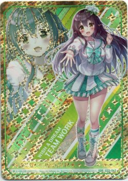 画像1: 【IGR】ペクティリスP