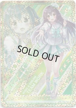 画像1: 【IGR】ペクティリスP