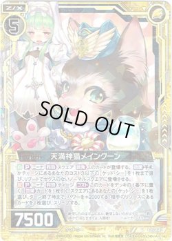 画像1: 【ホログラム】天満神猫メインクーン