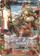 超越者【執行】ガーンデーヴァ