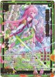 流星騎士団団長 サクラ
