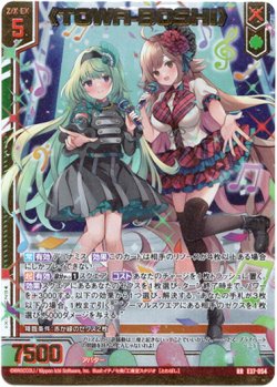 画像1: ≪TOWA-BOSHI≫