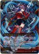 電算楼閣“FPAA” アトラス
