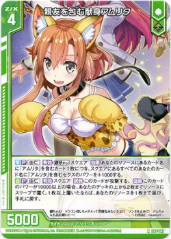 画像1: 親友を包む献身アムリタ