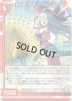 画像1: 真夏に輝く金鳥 ゴールドピーコク