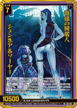 画像1: 奇縁の同居人 シェンホア＆ソーヤー