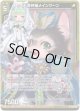 【ホログラム】天満神猫メインクーン