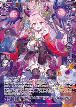 画像1: 【SEC】アニムスと愉快な仲間たち
