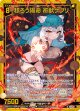 【ホログラム】移ろう陽命 祈獣ケプリ