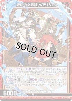 画像1: 呼応の女界賊 メアリ＆アン