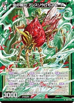 画像1: 虫の報せ アンスリウムモスキート