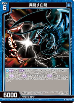 画像1: 異龍∫白龍