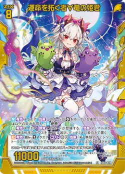 画像1: 運命を拓く者∀竜の姫君