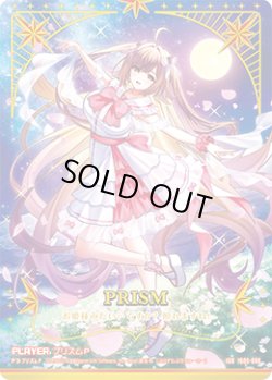 画像1: 【IGR】プリズムＰ