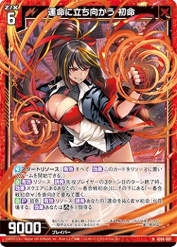 画像1: 運命に立ち向かう 初命
