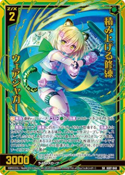 画像1: 【ホログラム】積み上げる修練 ウェアジャガー