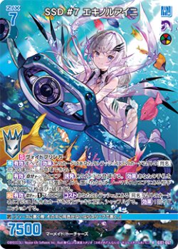 画像1: SSD #７ エキノルアイニ