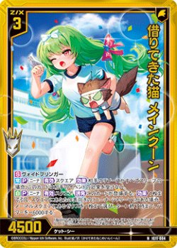 画像1: 【ホログラム】借りてきた猫 メインクーン