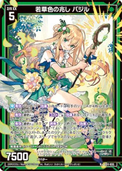 画像1: 若草色の兆し バジル