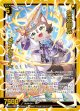 聖光創成 メインクーン