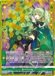 ≪楯≫創展 きさら