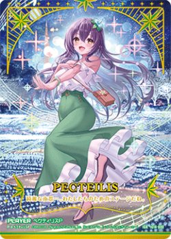 画像1: ※傷有り品（返品交換対象外）【IGR】ペクティリスＰ