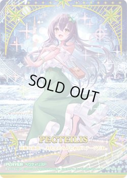 画像1: 【IGR】ペクティリスＰ