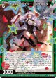 キルクズ・テイマー アッキピテル