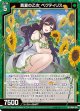 真夏の乙女 ペクティリス